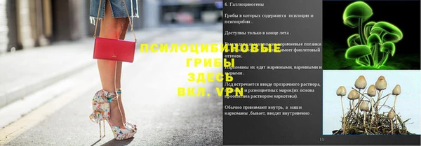 стаф Алексеевка