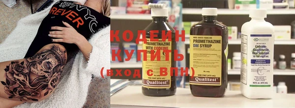 индика Алзамай