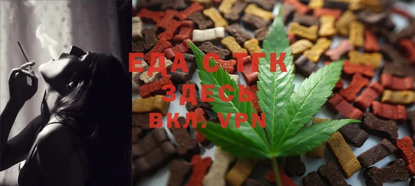 индика Алзамай