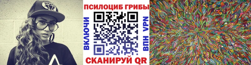 Псилоцибиновые грибы MAGIC MUSHROOMS  blacksprut рабочий сайт  Шуя 